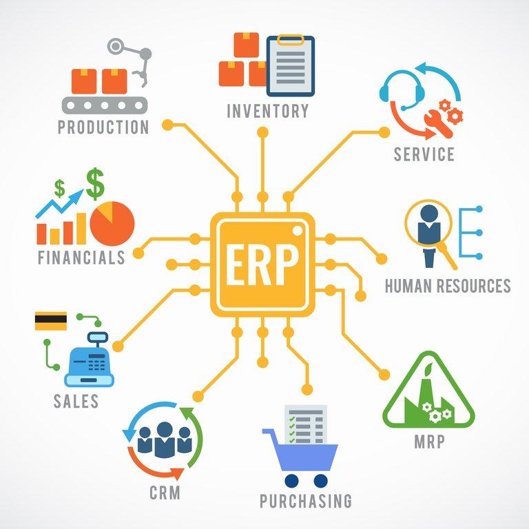 ERP & Digital Solutions